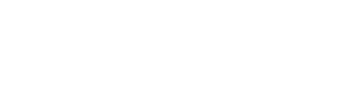 AFROPUNK